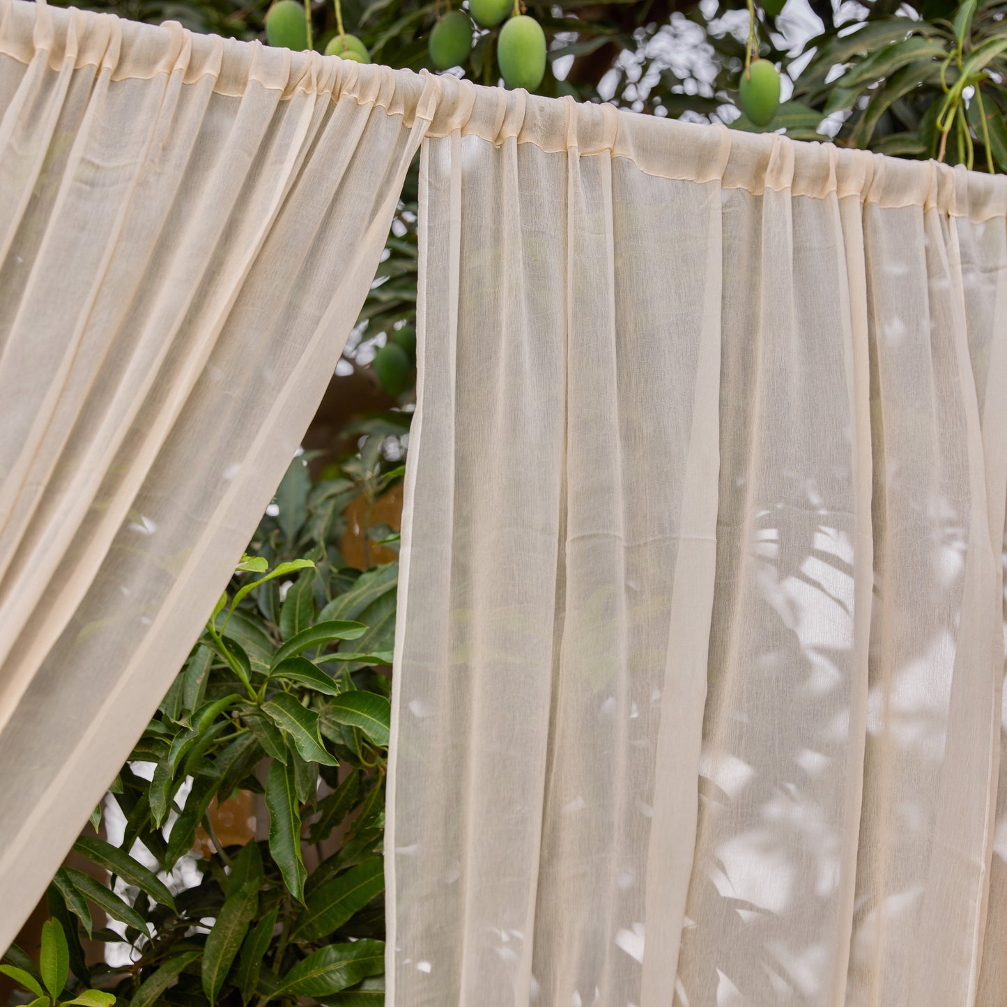 Solid Beige Chiffon Sheer Curtain-Curtains-House of Ekam